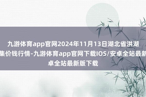 九游体育app官网2024年11月13日湖北省洪湖农贸市集价钱行情-九游体育app官网下载IOS/安卓全站最新版下载