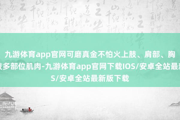 九游体育app官网可磨真金不怕火上肢、肩部、胸腹、下肢多部位肌肉-九游体育app官网下载IOS/安卓全站最新版下载