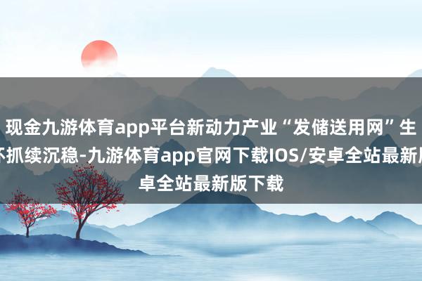 现金九游体育app平台新动力产业“发储送用网”生态闭环抓续沉稳-九游体育app官网下载IOS/安卓全站最新版下载