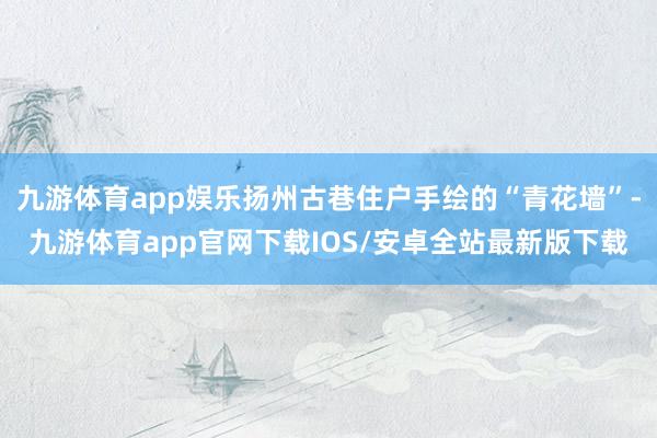 九游体育app娱乐扬州古巷住户手绘的“青花墙”-九游体育app官网下载IOS/安卓全站最新版下载