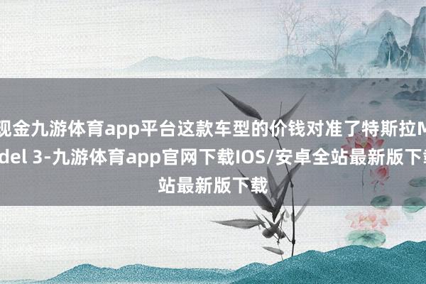 现金九游体育app平台这款车型的价钱对准了特斯拉Model 3-九游体育app官网下载IOS/安卓全站最新版下载